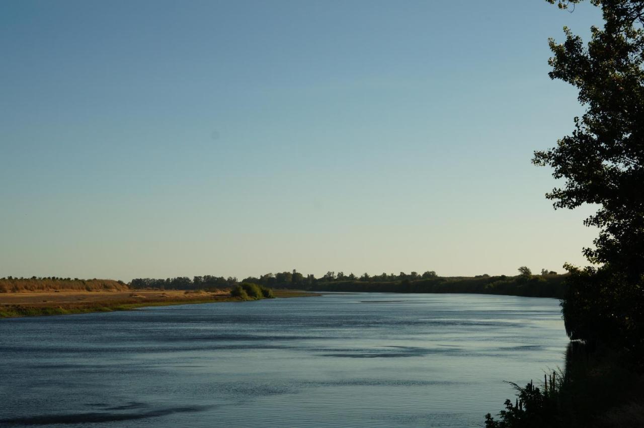 וילה נובה דה ברקיניה Barquinha River House מראה חיצוני תמונה